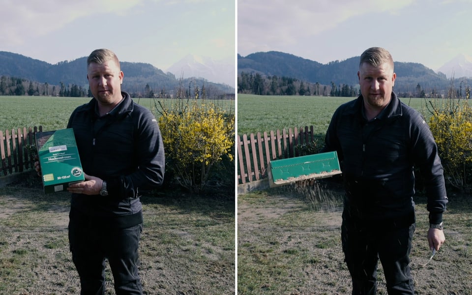 Rasenarbeiten - richtig vertikutieren - Nachsaat