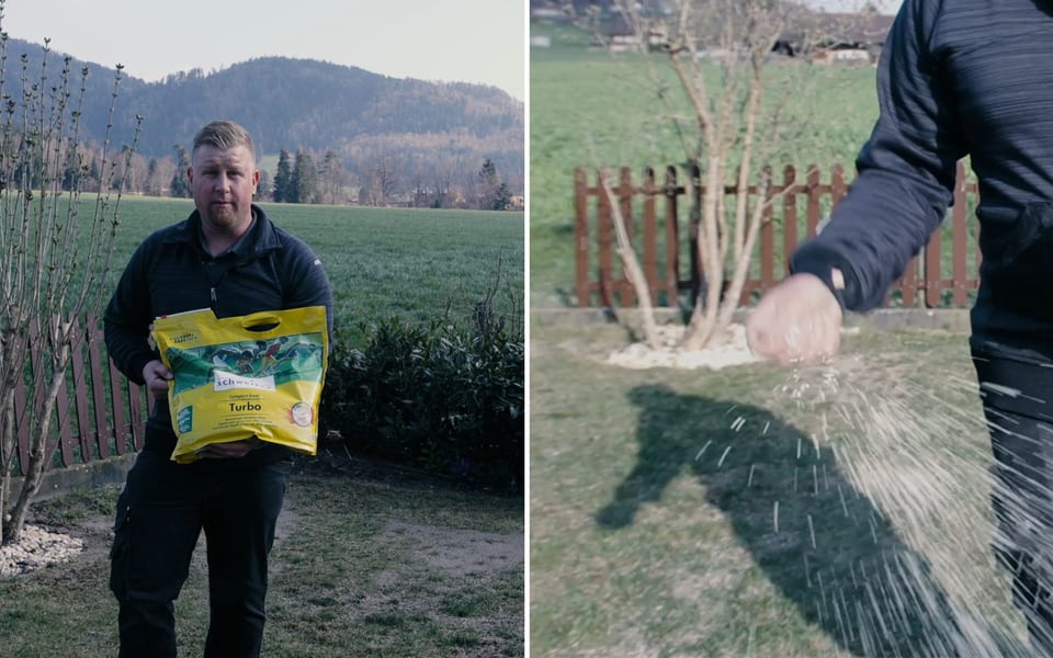 Rasen vertikutieren - aber richtig!