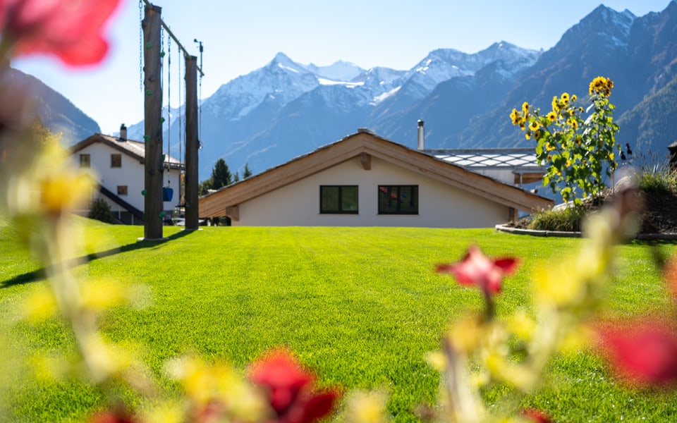 Rasenarbeiten - Rasenrenovation