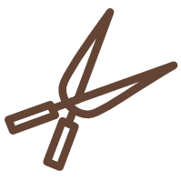 Rasenarbeiten und Rasenpflege