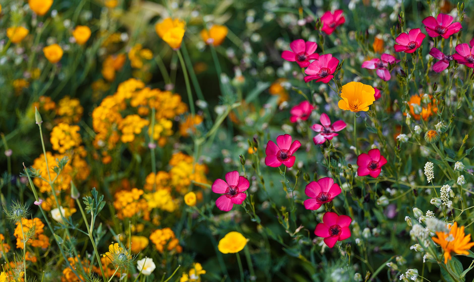Clever Nature Blumenmatten