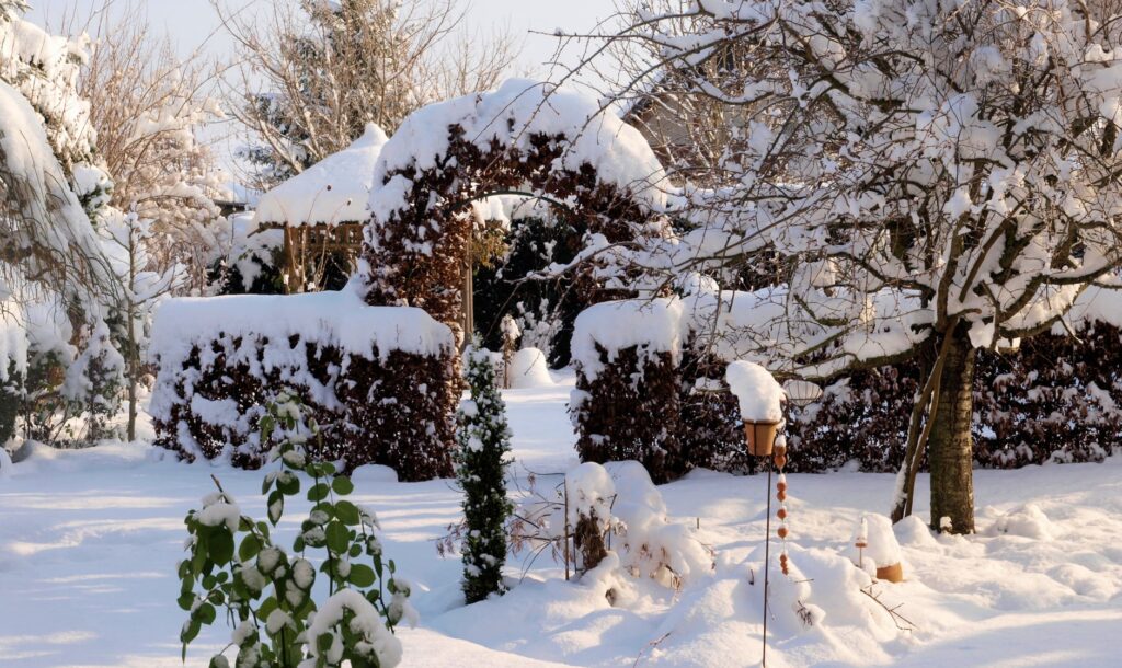 Rasenberater Magazin - Rasen bei Schnee