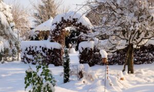 Rasenberater Magazin - Rasen bei Schnee