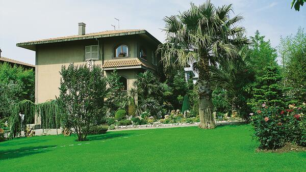 Miscela Ticinese Speciale