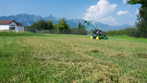 Verti-Care Royal