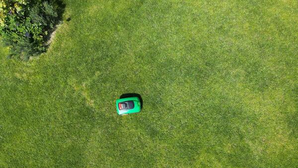 Robo Lawn Royal